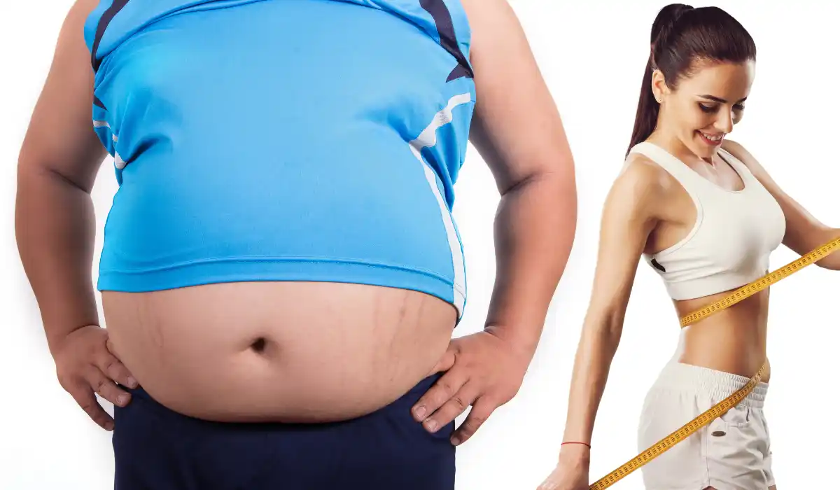 Muscle vs Fat Weight Gain